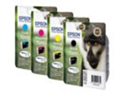 Epson Cartuccia inchiostro nero T0891
